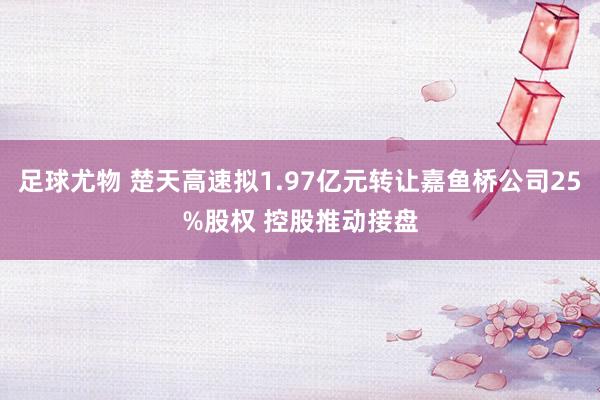 足球尤物 楚天高速拟1.97亿元转让嘉鱼桥公司25%股权 控股推动接盘