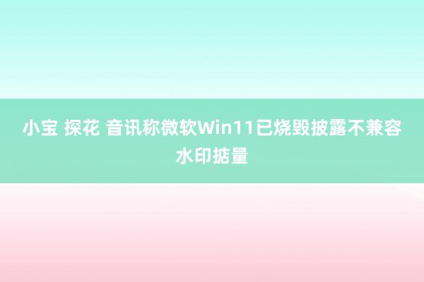 小宝 探花 音讯称微软Win11已烧毁披露不兼容水印掂量