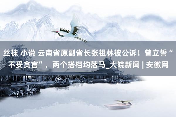 丝袜 小说 云南省原副省长张祖林被公诉！曾立誓“不妥贪官”，两个搭档均落马_大皖新闻 | 安徽网