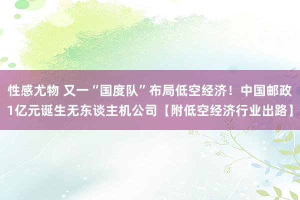 性感尤物 又一“国度队”布局低空经济！中国邮政1亿元诞生无东谈主机公司【附低空经济行业出路】