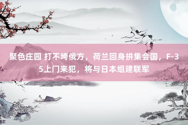 聚色庄园 打不垮俄方，荷兰回身拼集会国，F-35上门来犯，将与日本组建联军