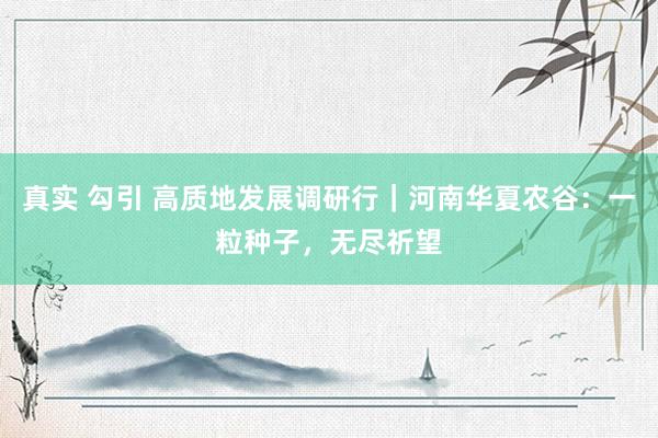 真实 勾引 高质地发展调研行｜河南华夏农谷：一粒种子，无尽祈望