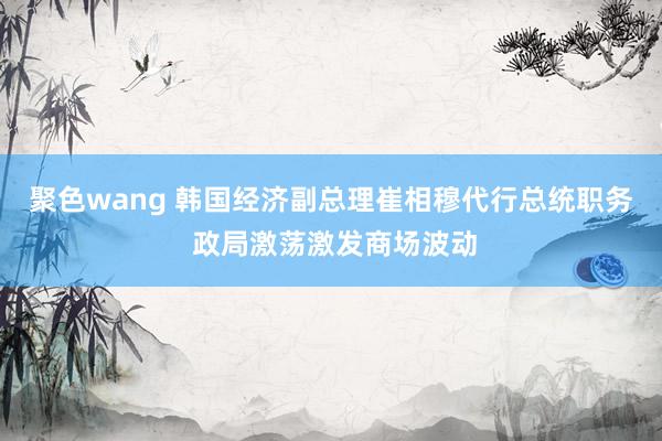 聚色wang 韩国经济副总理崔相穆代行总统职务 政局激荡激发商场波动