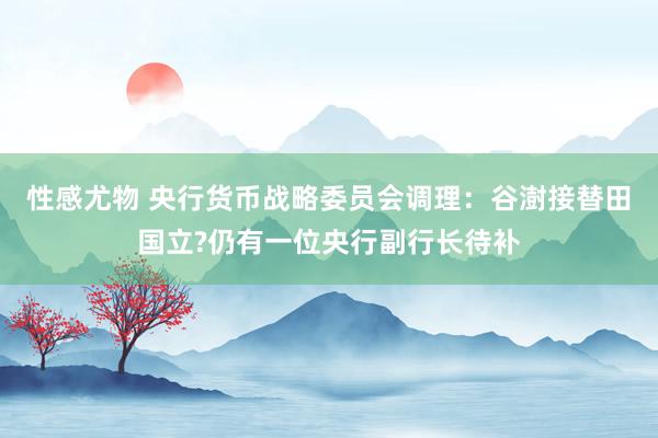 性感尤物 央行货币战略委员会调理：谷澍接替田国立?仍有一位央行副行长待补