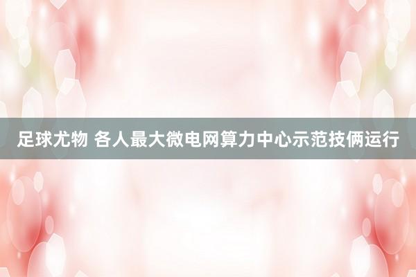 足球尤物 各人最大微电网算力中心示范技俩运行
