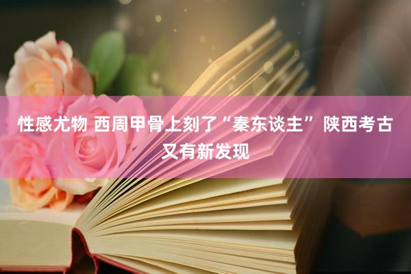 性感尤物 西周甲骨上刻了“秦东谈主” 陕西考古又有新发现