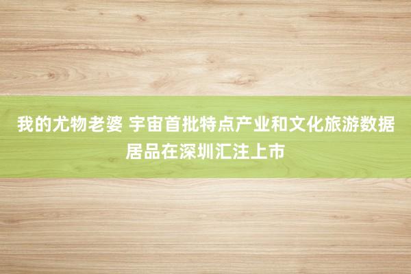 我的尤物老婆 宇宙首批特点产业和文化旅游数据居品在深圳汇注上市