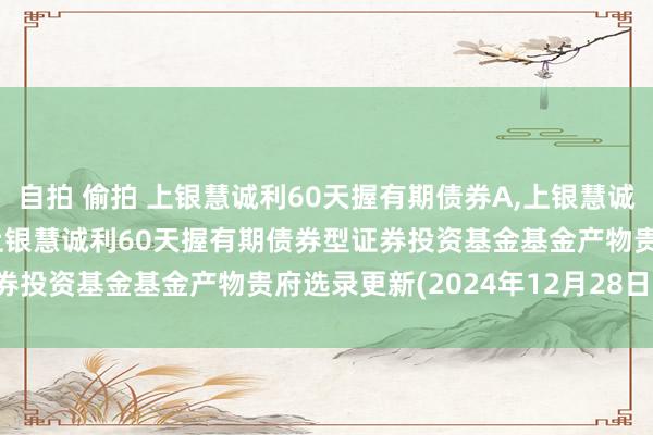 自拍 偷拍 上银慧诚利60天握有期债券A,上银慧诚利60天握有期债券C: 上银慧诚利60天握有期债券型证券投资基金基金产物贵府选录更新(2024年12月28日公告)