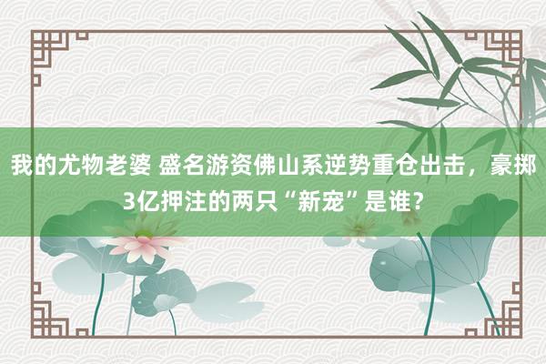我的尤物老婆 盛名游资佛山系逆势重仓出击，豪掷3亿押注的两只“新宠”是谁？