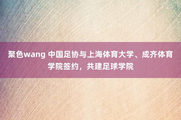 聚色wang 中国足协与上海体育大学、成齐体育学院签约，共建足球学院