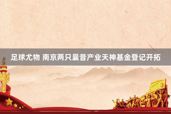 足球尤物 南京两只曩昔产业天神基金登记开拓