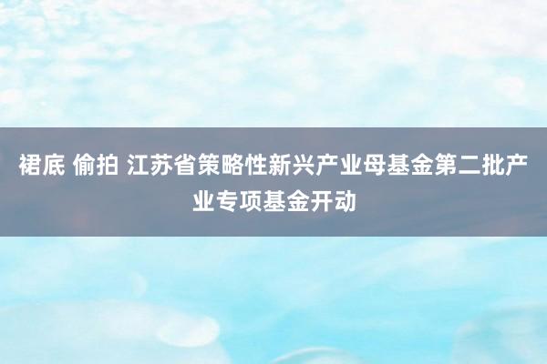 裙底 偷拍 江苏省策略性新兴产业母基金第二批产业专项基金开动