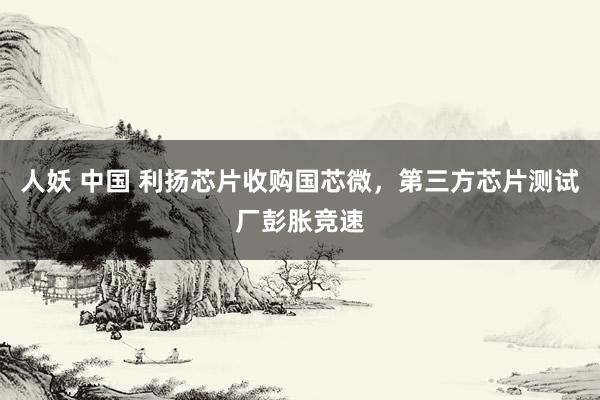 人妖 中国 利扬芯片收购国芯微，第三方芯片测试厂彭胀竞速
