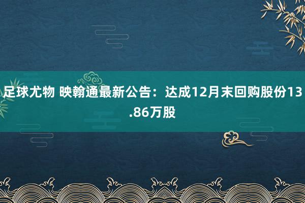 足球尤物 映翰通最新公告：达成12月末回购股份13.86万股