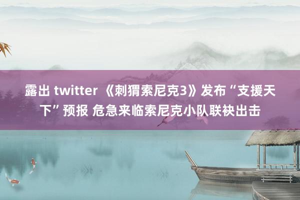 露出 twitter 《刺猬索尼克3》发布“支援天下”预报 危急来临索尼克小队联袂出击