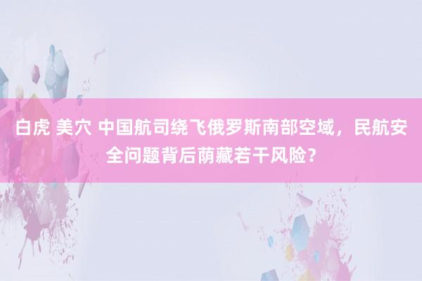 白虎 美穴 中国航司绕飞俄罗斯南部空域，民航安全问题背后荫藏若干风险？