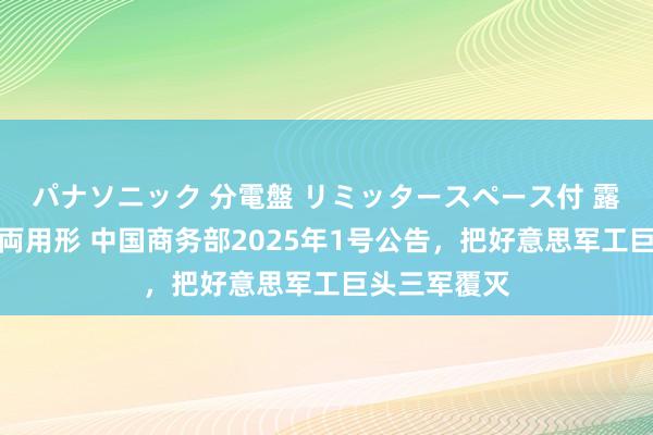 パナソニック 分電盤 リミッタースペース付 露出・半埋込両用形 中国商务部2025年1号公告，把好意思军工巨头三军覆灭