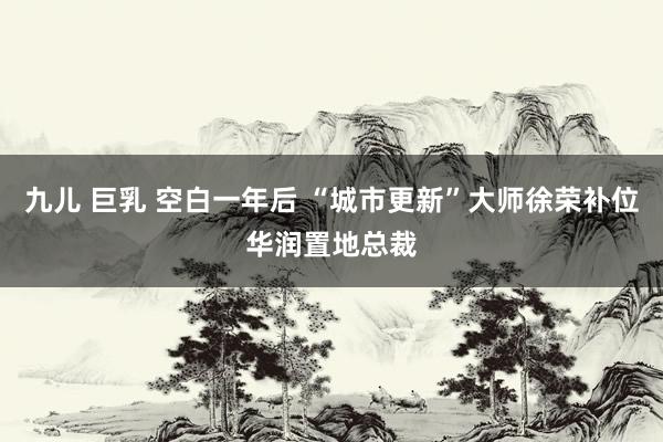 九儿 巨乳 空白一年后 “城市更新”大师徐荣补位华润置地总裁