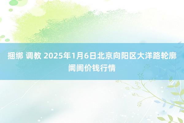 捆绑 调教 2025年1月6日北京向阳区大洋路轮廓阛阓价钱行情