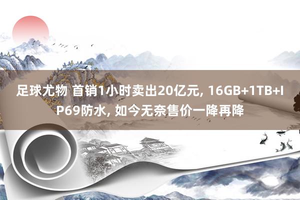 足球尤物 首销1小时卖出20亿元， 16GB+1TB+IP69防水， 如今无奈售价一降再降
