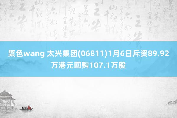 聚色wang 太兴集团(06811)1月6日斥资89.92万港元回购107.1万股