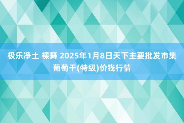 极乐净土 裸舞 2025年1月8日天下主要批发市集葡萄干(特级)价钱行情
