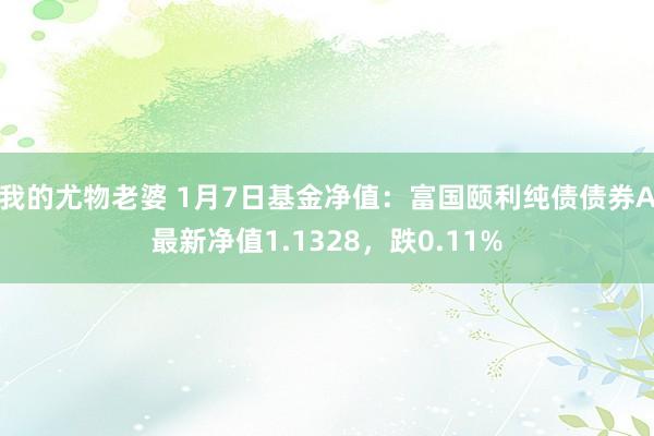 我的尤物老婆 1月7日基金净值：富国颐利纯债债券A最新净值1.1328，跌0.11%