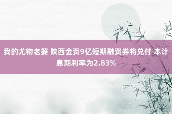 我的尤物老婆 陕西金资9亿短期融资券将兑付 本计息期利率为2.83%