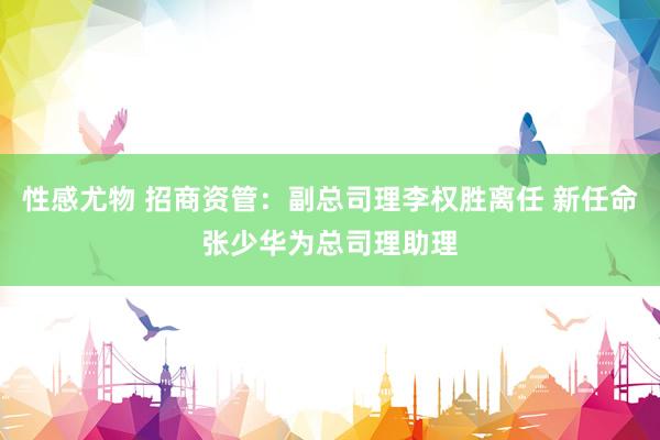 性感尤物 招商资管：副总司理李权胜离任 新任命张少华为总司理助理
