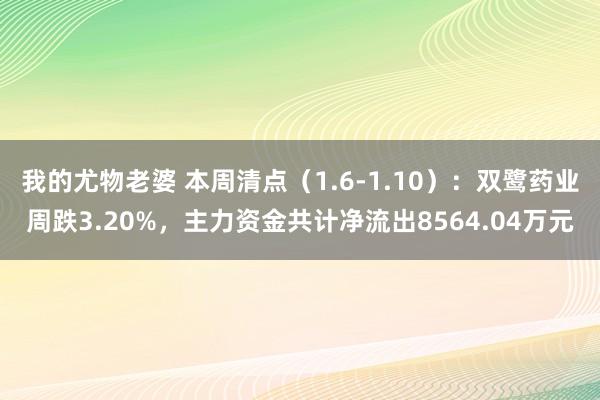 我的尤物老婆 本周清点（1.6-1.10）：双鹭药业周跌3.20%，主力资金共计净流出8564.04万元