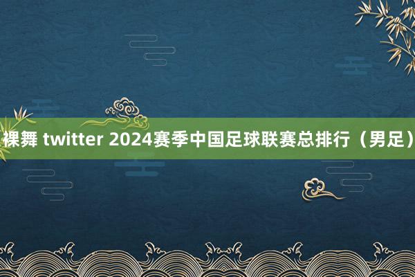 裸舞 twitter 2024赛季中国足球联赛总排行（男足）