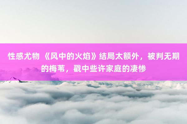 性感尤物 《风中的火焰》结局太额外，被判无期的梅苇，戳中些许家庭的凄惨