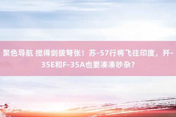 聚色导航 搅得剑拔弩张！苏-57行将飞往印度，歼-35E和F-35A也要凑凑吵杂？