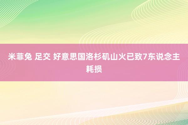 米菲兔 足交 好意思国洛杉矶山火已致7东说念主耗损