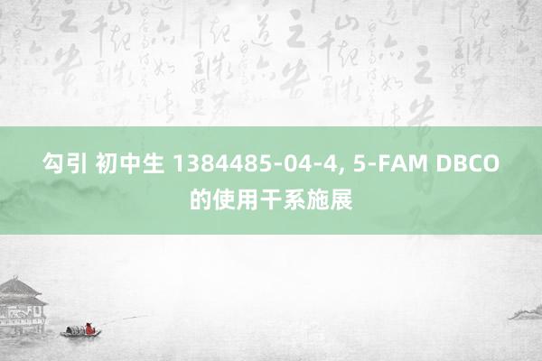 勾引 初中生 1384485-04-4， 5-FAM DBCO的使用干系施展