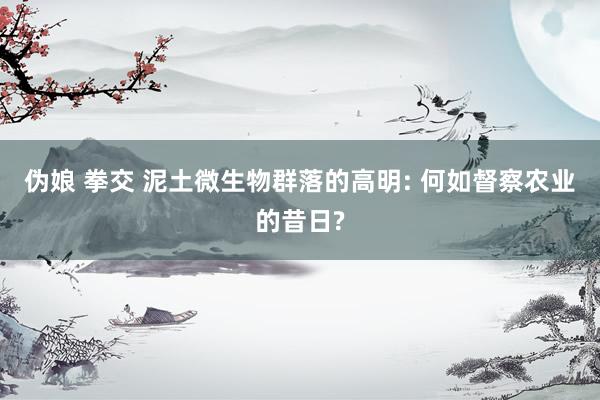 伪娘 拳交 泥土微生物群落的高明: 何如督察农业的昔日?
