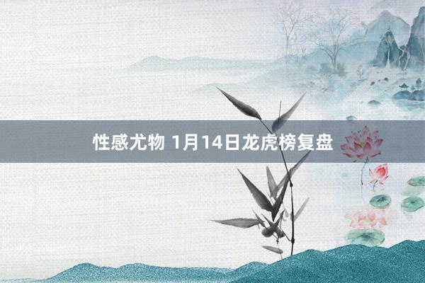 性感尤物 1月14日龙虎榜复盘