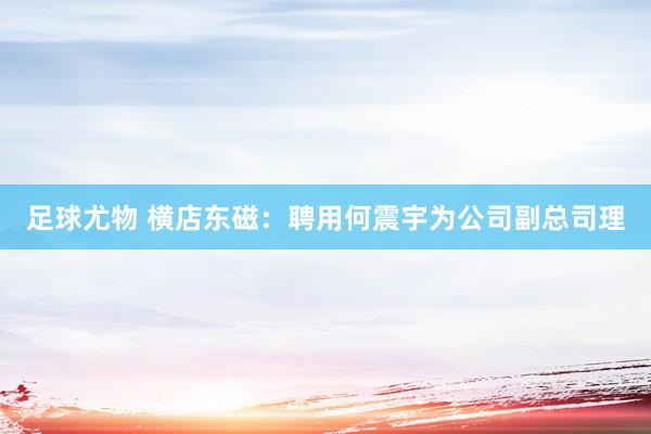 足球尤物 横店东磁：聘用何震宇为公司副总司理