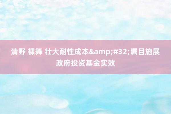 清野 裸舞 壮大耐性成本&#32;瞩目施展政府投资基金实效