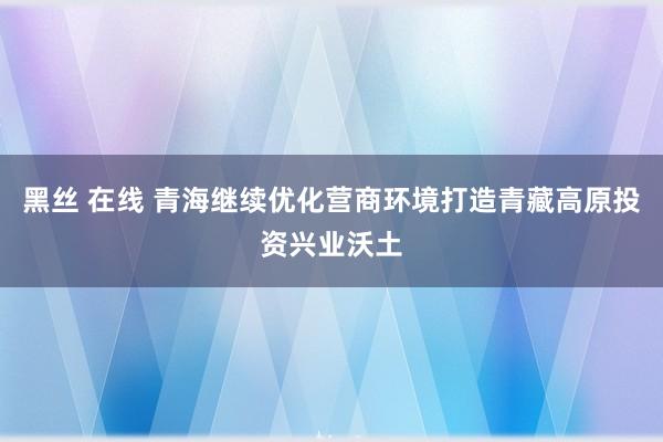 黑丝 在线 青海继续优化营商环境打造青藏高原投资兴业沃土