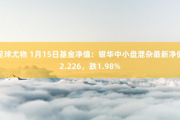足球尤物 1月15日基金净值：银华中小盘混杂最新净值2.226，跌1.98%
