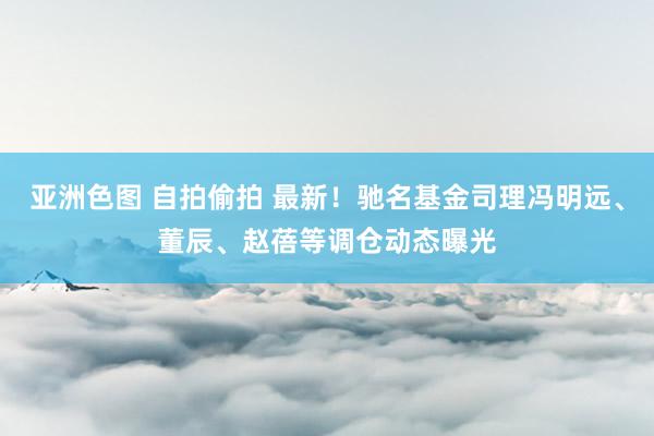 亚洲色图 自拍偷拍 最新！驰名基金司理冯明远、董辰、赵蓓等调仓动态曝光