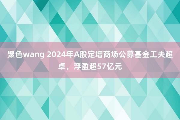 聚色wang 2024年A股定增商场公募基金工夫超卓，浮盈超57亿元