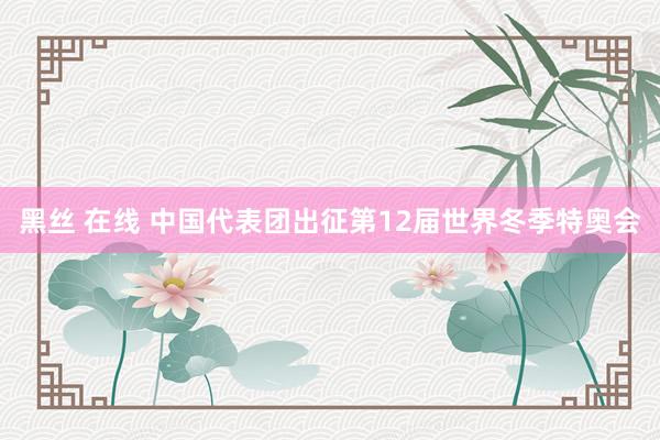 黑丝 在线 中国代表团出征第12届世界冬季特奥会
