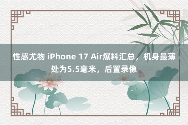 性感尤物 iPhone 17 Air爆料汇总，机身最薄处为5.5毫米，后置录像
