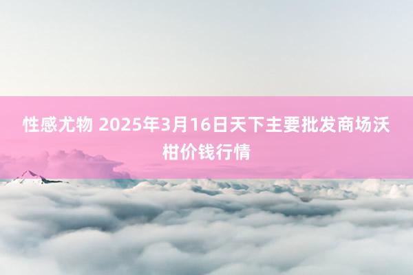 性感尤物 2025年3月16日天下主要批发商场沃柑价钱行情