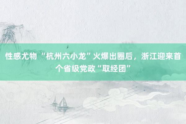 性感尤物 “杭州六小龙”火爆出圈后，浙江迎来首个省级党政“取经团”