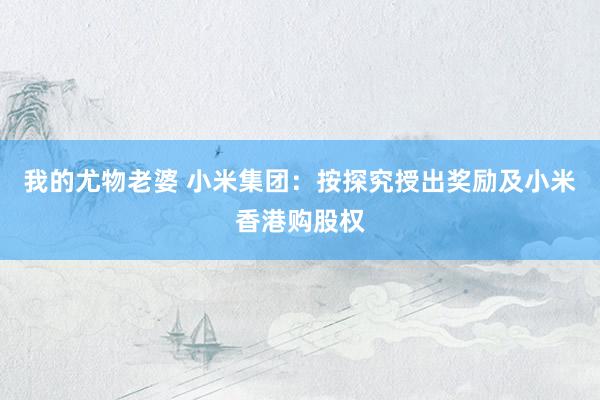我的尤物老婆 小米集团：按探究授出奖励及小米香港购股权