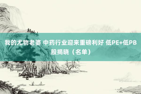 我的尤物老婆 中药行业迎来重磅利好 低PE+低PB股揭晓（名单）