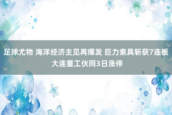 足球尤物 海洋经济主见再爆发 巨力索具斩获7连板 大连重工伙同3日涨停